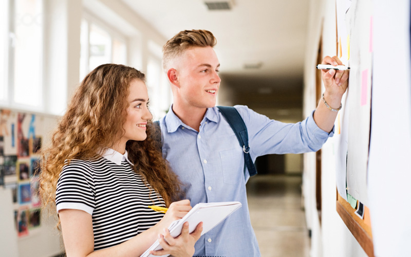 meditatii romana online