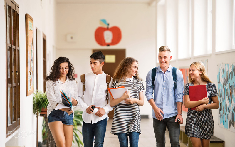 meditatii romana online